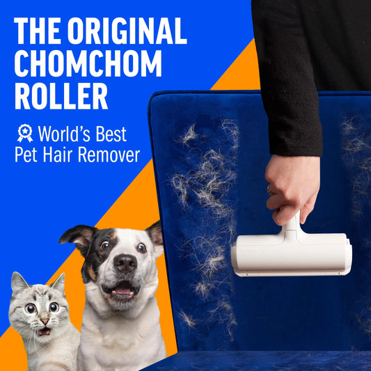 Self-Cleaning Pet Grooming Brush & Hair Remover 🐶🐱✨🪮