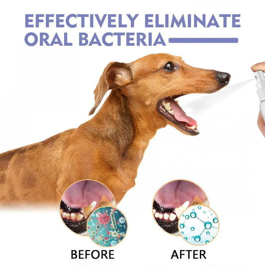 Pet Oral Care Spray – Fresh Breath & Teeth Cleaning 🐶🦷✨ pawfectly