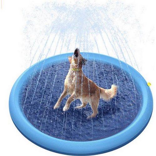 Splash Sprinkler Pad petbloomstore