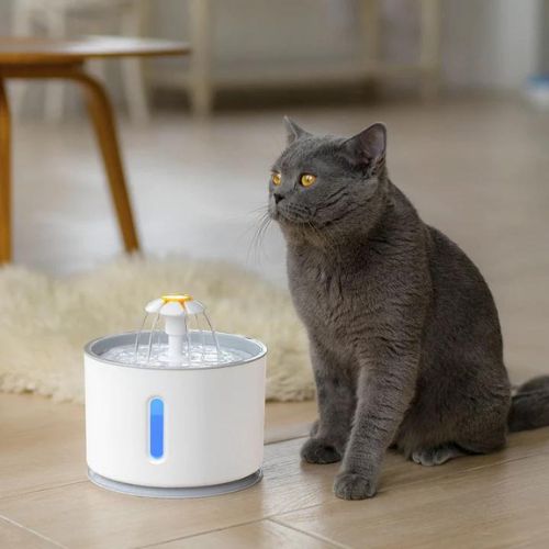 Automatic Cat Water Fountain petbloomstore