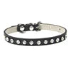 Luxury Rhinestone Pet Collar for Cats & Small Dogs 🐶🐱💎✨