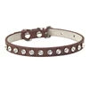 Luxury Rhinestone Pet Collar for Cats & Small Dogs 🐶🐱💎✨