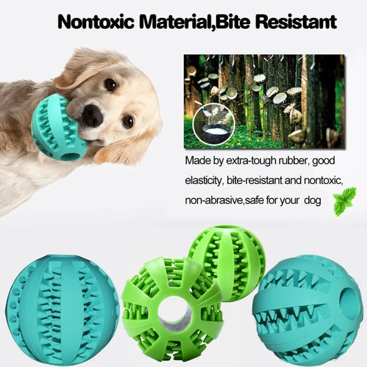 Durable Rubber Dog Chew Ball & Teeth Cleaner 🐶🦴🎾✨