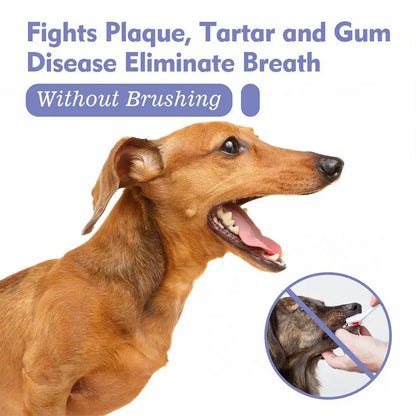 Pet Oral Care Spray – Fresh Breath & Teeth Cleaning 🐶🦷✨ pawfectly