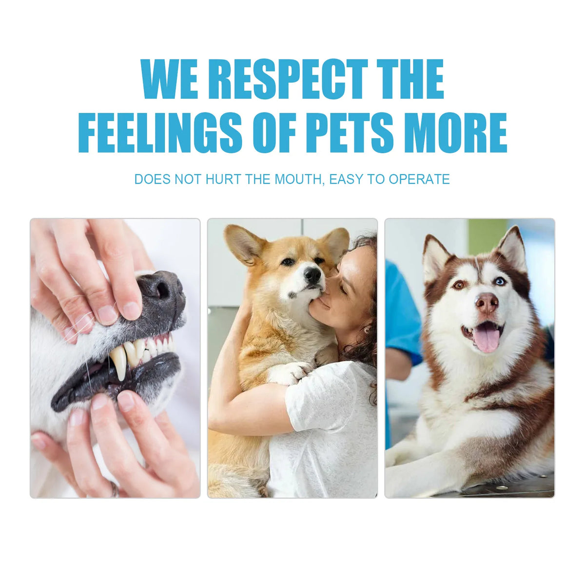 Pet Toothpaste for Dogs & Cats – Tartar Control Formula 🐶🐱🦷✨
