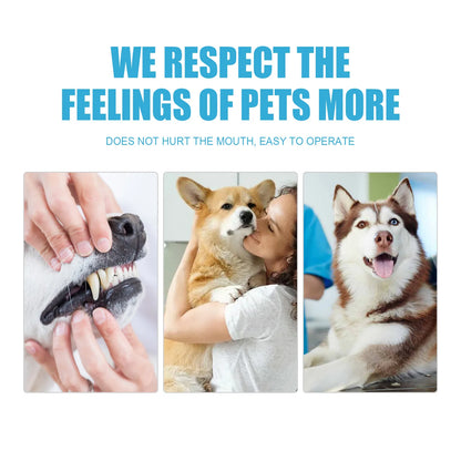 Pet Toothpaste for Dogs & Cats – Tartar Control Formula 🐶🐱🦷✨