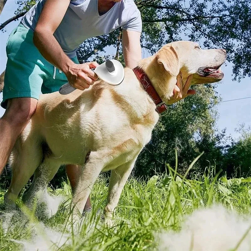 Self-Cleaning Pet Grooming Brush for Dogs & Cats 🐶🐱🪮✨ petbloomstore