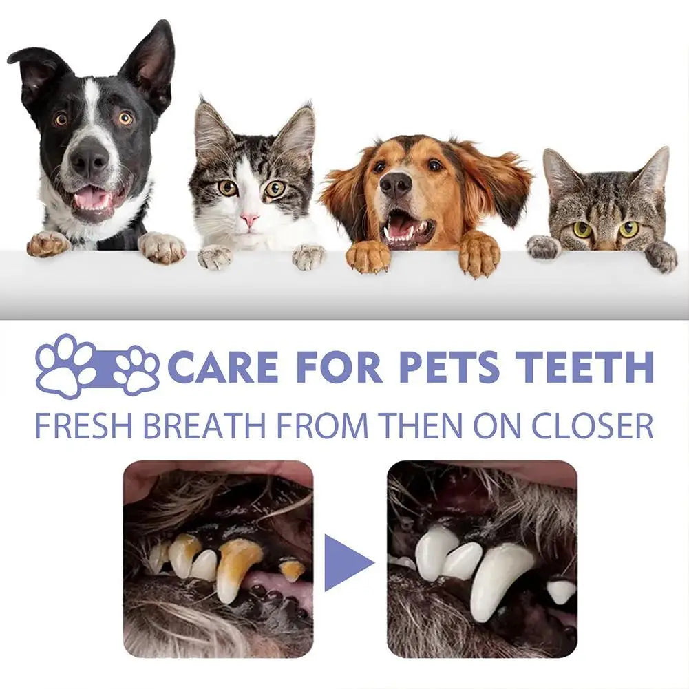 Pet Oral Care Spray – Fresh Breath & Teeth Cleaning 🐶🦷✨ pawfectly