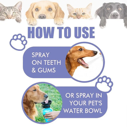 Pet Oral Care Spray – Fresh Breath & Teeth Cleaning 🐶🦷✨ pawfectly