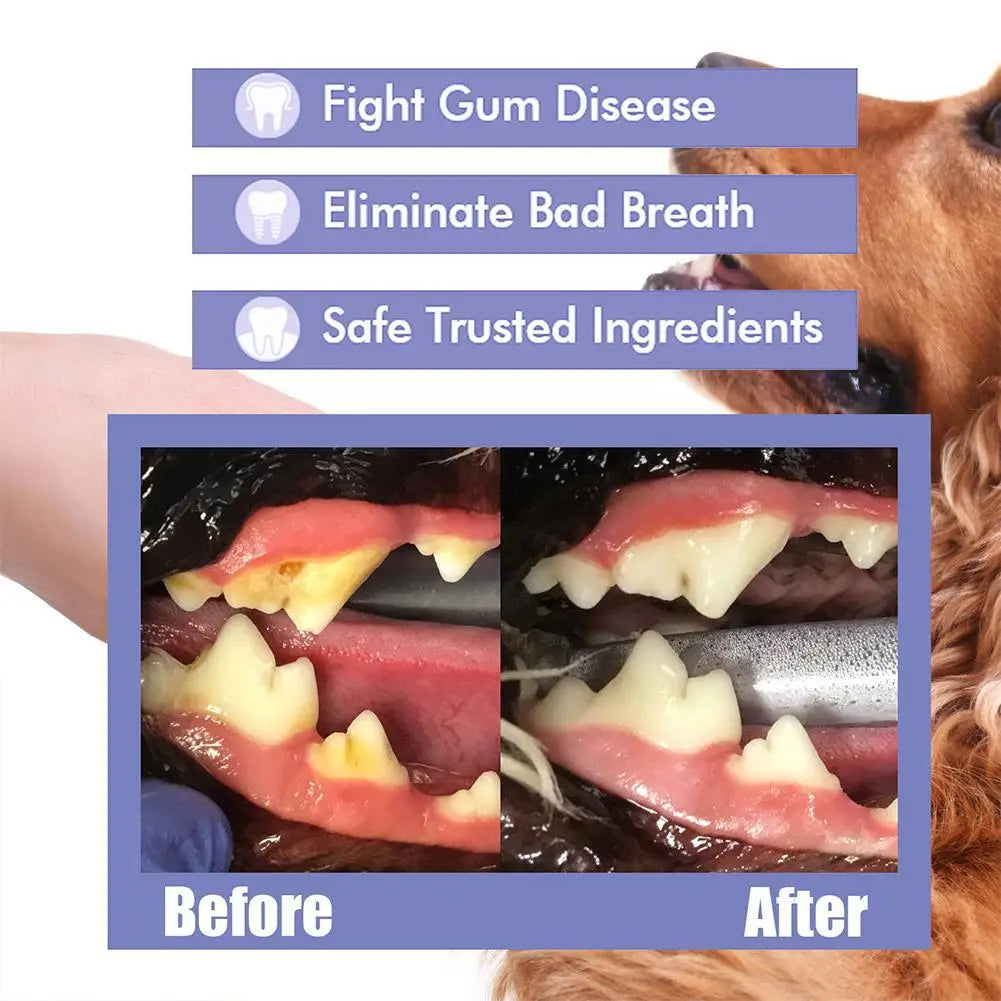 Pet Oral Care Spray – Fresh Breath & Teeth Cleaning 🐶🦷✨ pawfectly