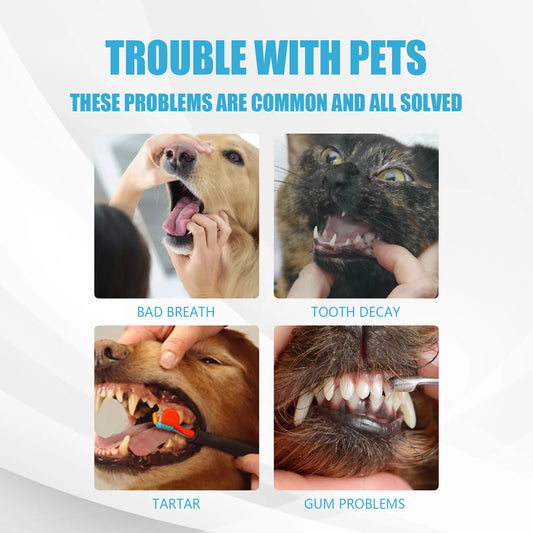 Pet Toothpaste for Dogs & Cats – Tartar Control Formula 🐶🐱🦷✨