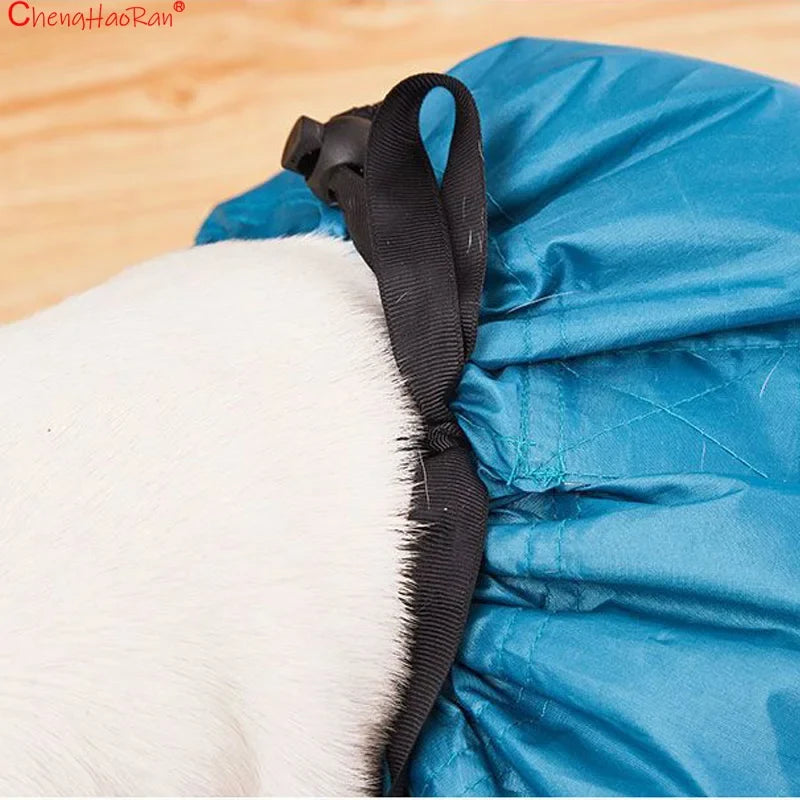 Pet Drying Bag for Cats & Dogs 🐱🐶💨✨