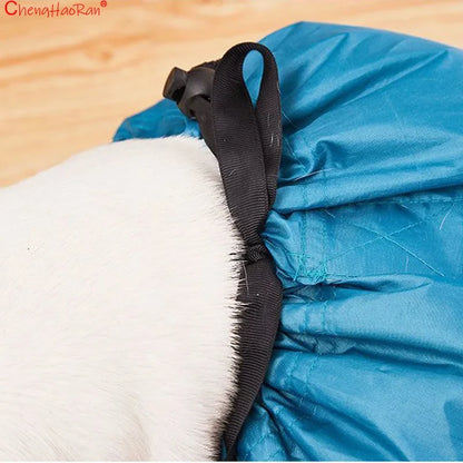 Pet Drying Bag for Cats & Dogs 🐱🐶💨✨