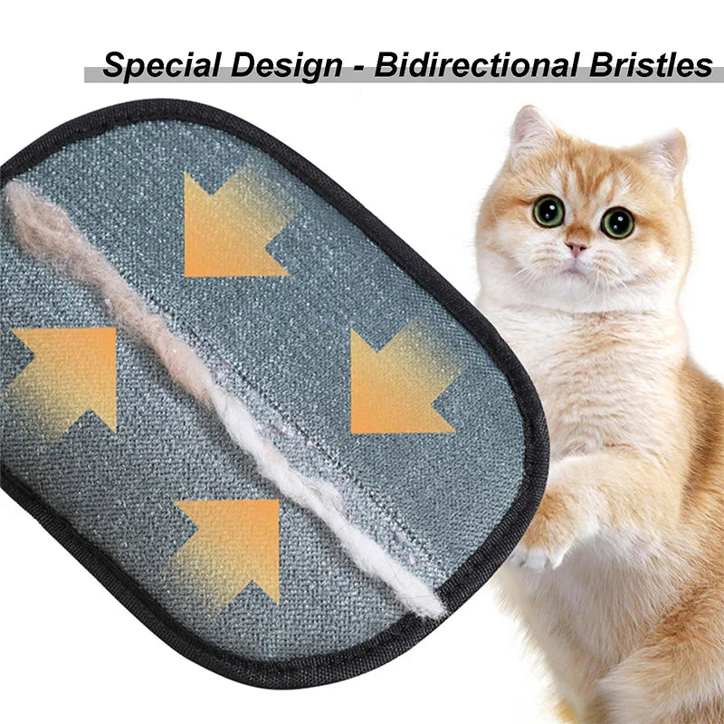 2025 Modern Electrostatic Gloves, Pet Hair Removal Tool for Cats & Dogs petbloomstore