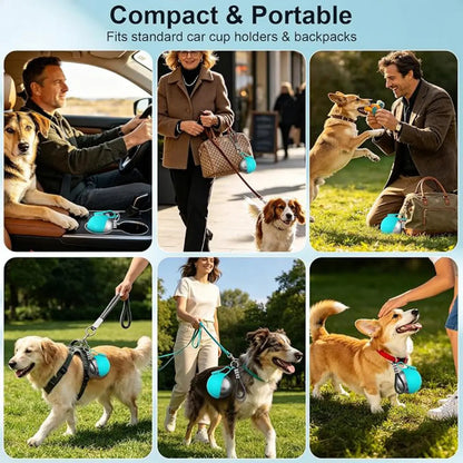 2-In-1 Portable Dog Water Bottle with Bowl, 10Oz Stainless Steel Travel Pet Water Dispenser, No-Spill Leak-Proof Design with Silicone Bowl, Perfect for Walking, Hiking, and Travel